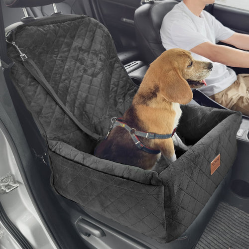 Small dog sitting raised to window height in the booster seat